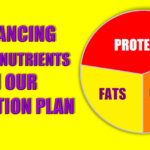 Protein Carbs Fats
