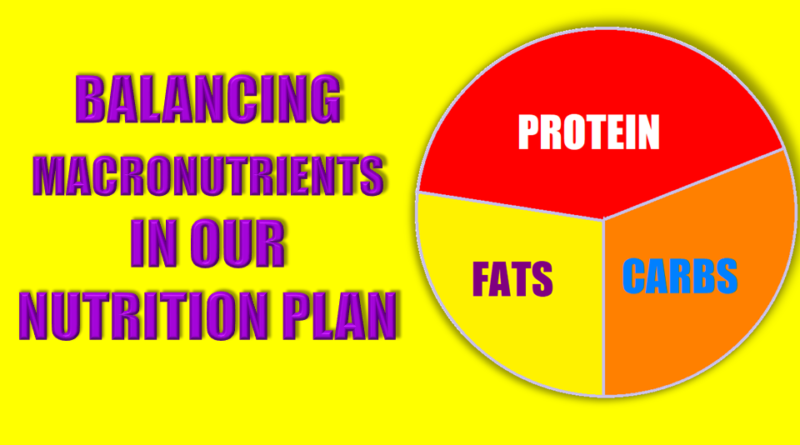 Protein Carbs Fats